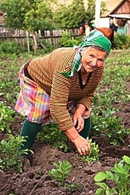 Землю оброблятимемо... голіруч