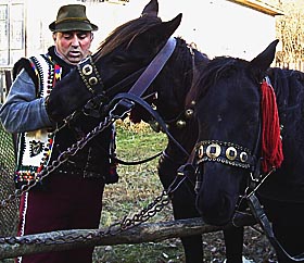 Запрягайте, хлопці, коней