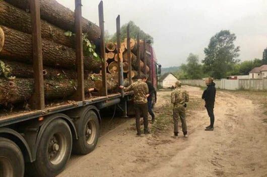 Лісничі Гутянського лісгоспу на Харківщині побили журналістів i чинили спротив оперативникам НАБУ