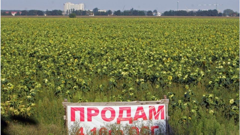 У Зеленського планують продовжити мораторій на продаж сільгоспземлі до липня-2020