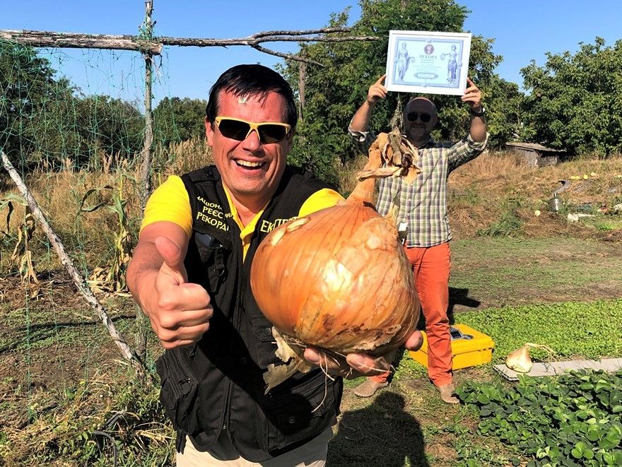 В Україні виростили рекордну цибулину вагою 1,8 кг (фото)