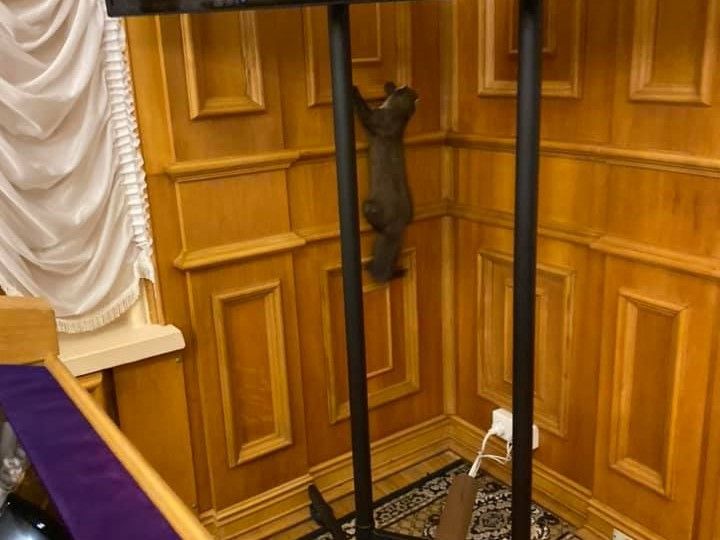 В кулуарах Верховної Ради бігала куниця