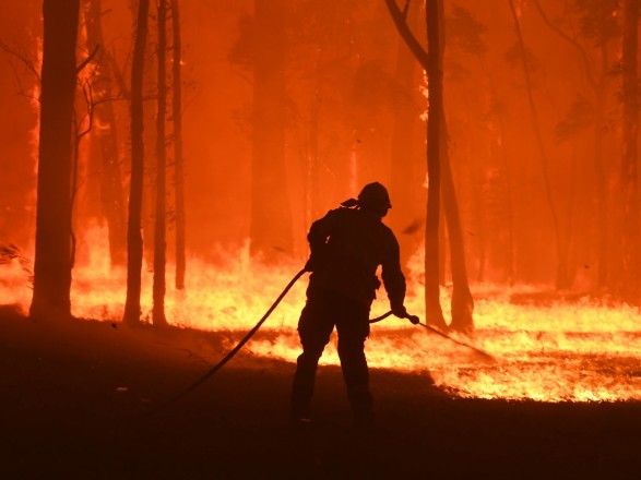 В Австралії оголосили режим НС через лісові пожежі