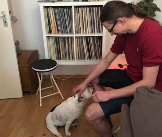 Пара з Німеччини «всиновила» харківського собаку-інваліда