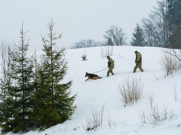 На Новий рік в Україну приїхали 95 тисяч громадян, близько сотні не впустили