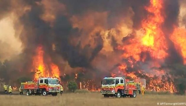 Пожежі в Австралії: загинули 24 людини і майже 500 тисяч тварин