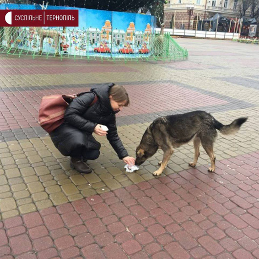 Нагодуй, відмовся, вимкни: жителі Тернополя взяли участь у незвичайному екомарафоні