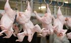 ЄС визнала Україну топовим постачальником курятини