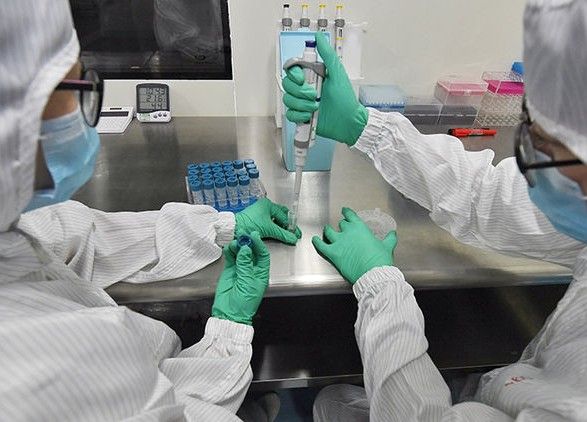 Новий коронавірус можуть переносити домашні тварини – ВООЗ
