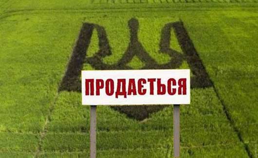Загрозливі наслідки: чому продаж землі стане одним із факторів краху України як держави