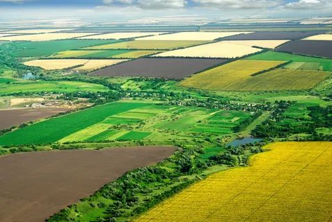 Продаж землі: чому  біда, а не прогрес?