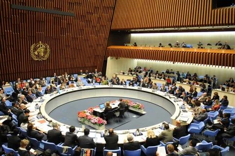 Обмеження експорту під час пандемії може створити дефіцит продовольства у світі