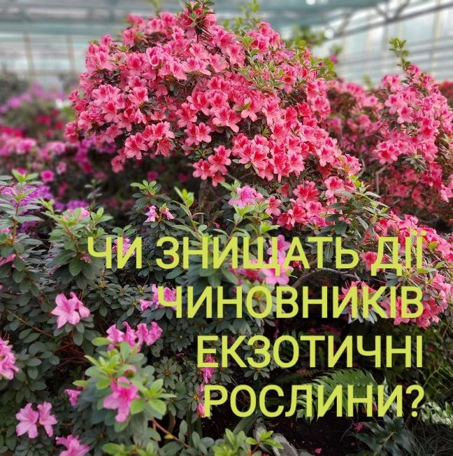 Чиновники знищують колекцію національного надбання Ботанічного саду