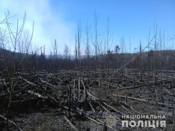 У Чорнобильській зоні досі пожежа на 10 гектарах трави і лісу
