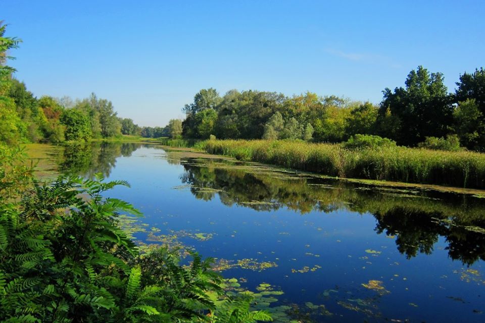 Новий Генплан Києва: зникли 9 тисяч га заповідних територій