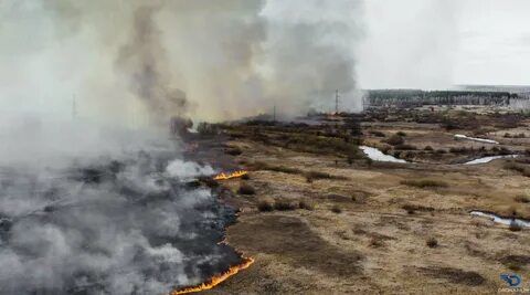 Пожежу в Чорнобильській зоні загасили