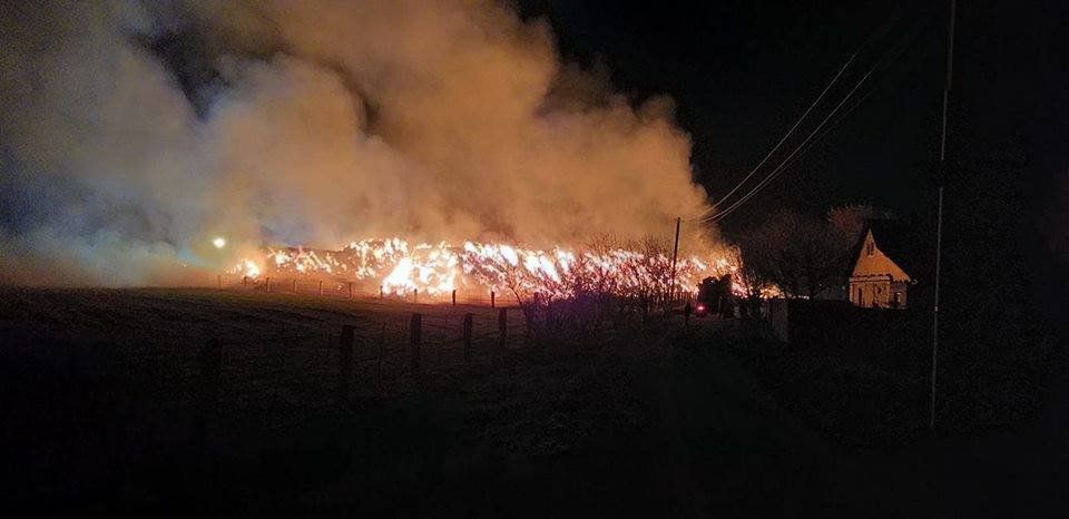 У Тинівці на Черкащині під час пожежі згоріло поголівʼя із 300 свиней