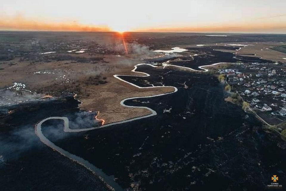 Чистилівський орнітологічний заказник на Тернопільщині врятували від пожежі