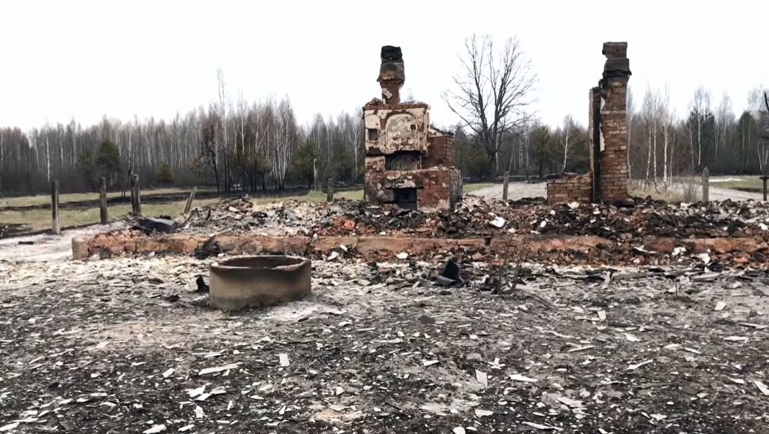 Пожежі на Житомирщині: вигоріло село Личмани та тисячі гектарів лісу