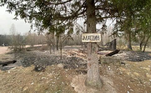 Пожежі на Житомирщині гасять більше тисячі осіб, збитки в десятки мільйонів