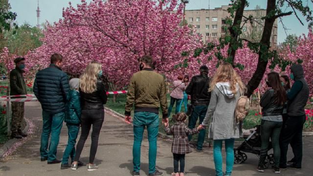Цвіт сакури: у Дніпрі виникли черги заради фото