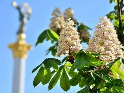 Київ святкує День міста