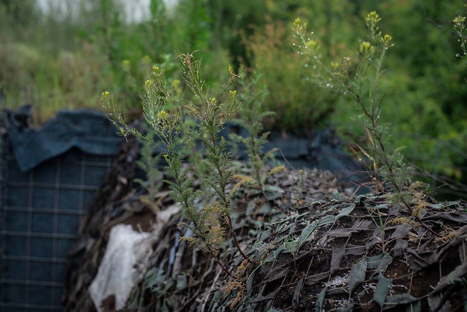 На Донбасі поранено п’ятьох бійців ЗСУ
