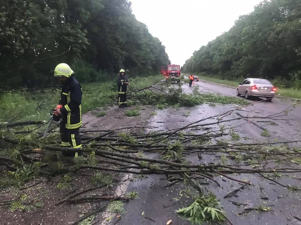 В Україні негода знеструмила майже 350 населених пунктів у 9 областях
