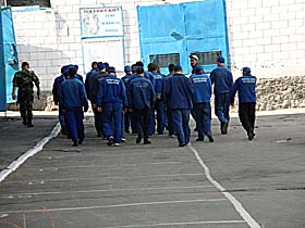 На волю — з чистою совістю