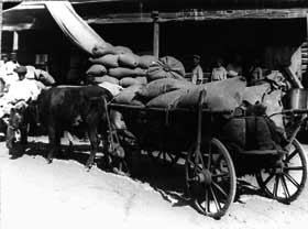 Штучний голод 1933 року в Радянській Україні: що сталося й чому?