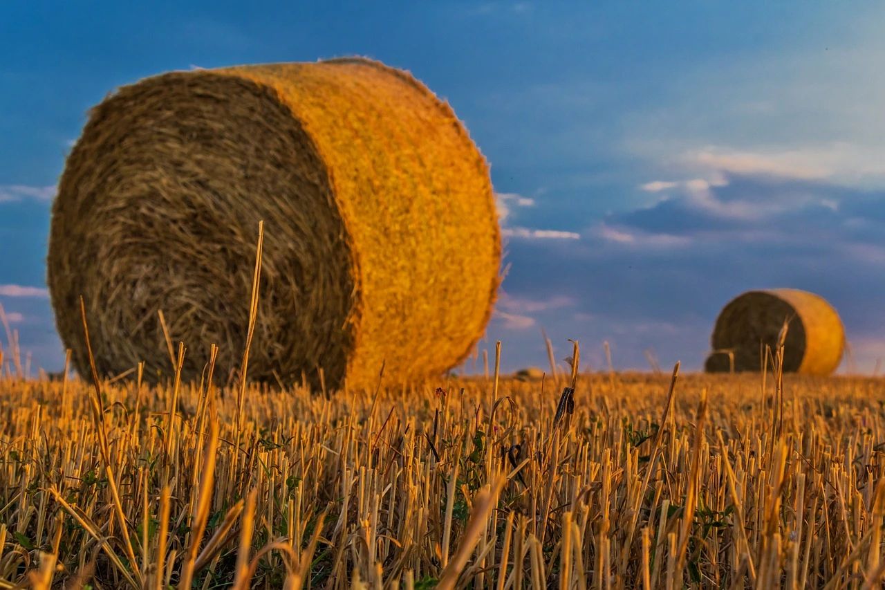 Всесвітній банк перевірить земельний кадастр України
