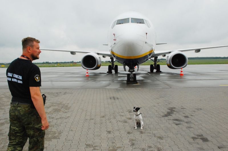 Українці у Польщі вже не повинні проходити карантин на два тижні