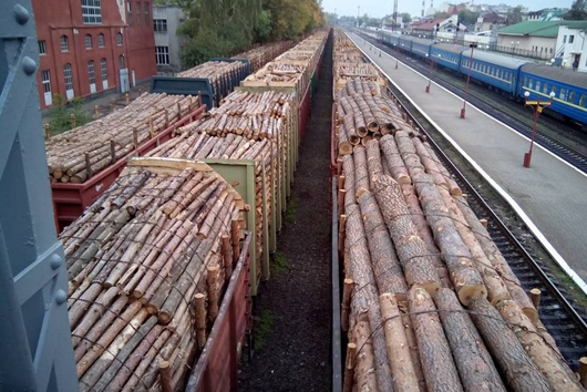 Після повені в Карпатах звідти знову почали вагонами вивозити ліс
