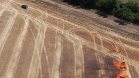 Пожежа на Луганщині: у мережу виклали відео підпалів полів
