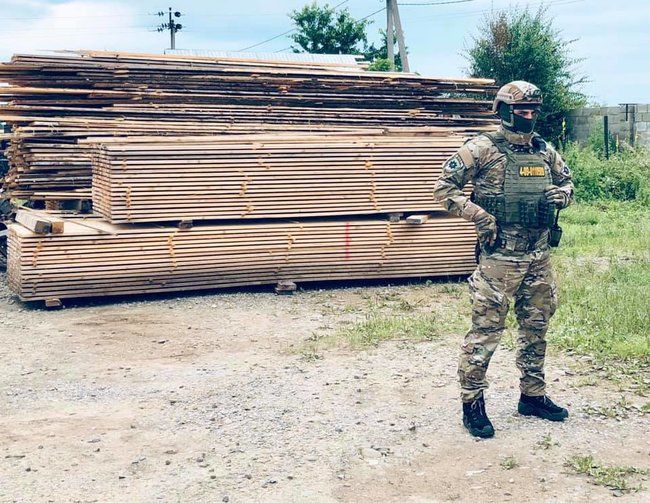 Поліція обшукала лісгоспи Івано-Франківської області