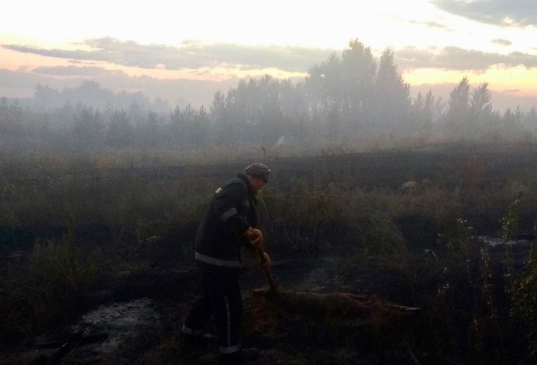 На Луганщині другу добу гасять лісову пожежу, спричинену обстрілом