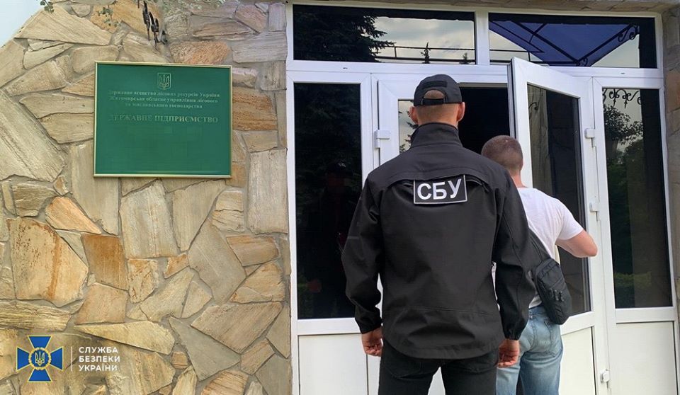На Житомирщині виявлено масштабну вирубку лісів