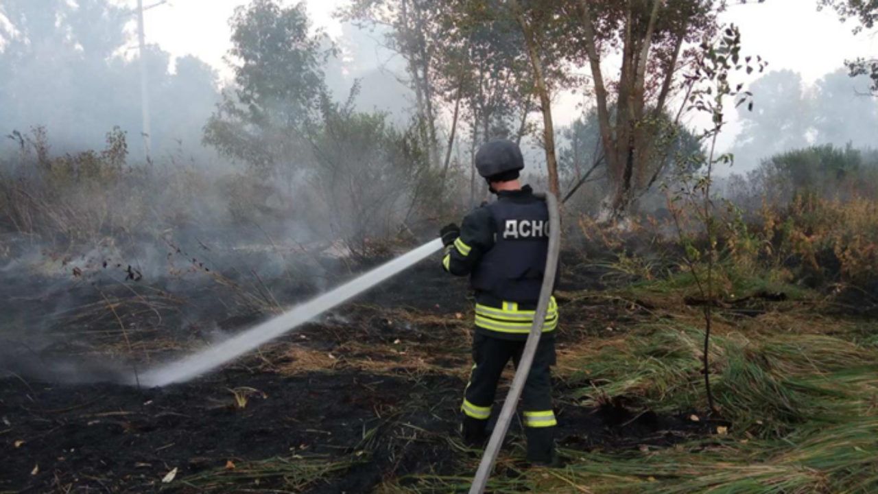 Масштабна пожежа на Харківщині: вогонь повністю знищив одне село і 500 гектарів лісу