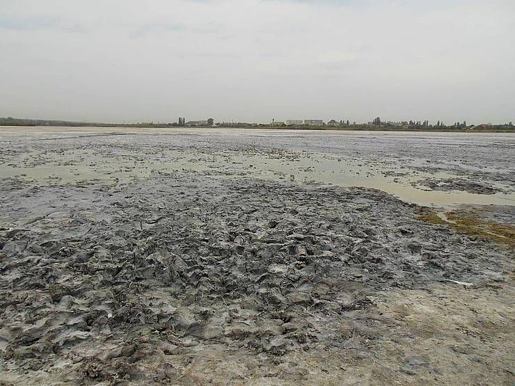 Українське «Мертве море» опинилося на межі зникнення через найпотужнішу за 150 років посуху