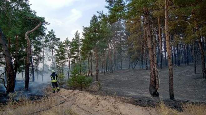 На Луганщині знову горить 20 гектарів лісу