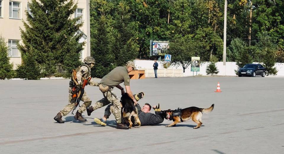 І Кевін Костнер позаздрив би: як змагалися найкращі команди бодігардів з усієї України