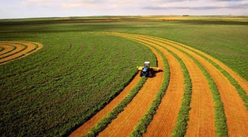 Зеленський підписав указ про передачу сільгоспземель у комунальну власність