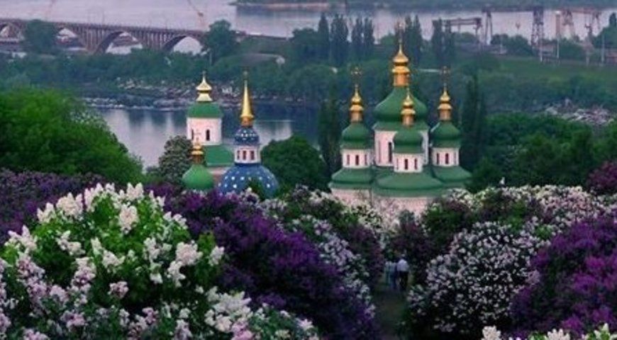 Національному ботсаду не вистачає коштів для існування
