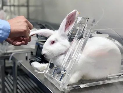 В окупованому Криму тестують власну вакцину від COVID-19 на тваринах