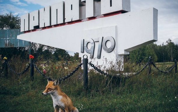 Чорнобильський заповідник додали до переліку територій, що охороняються