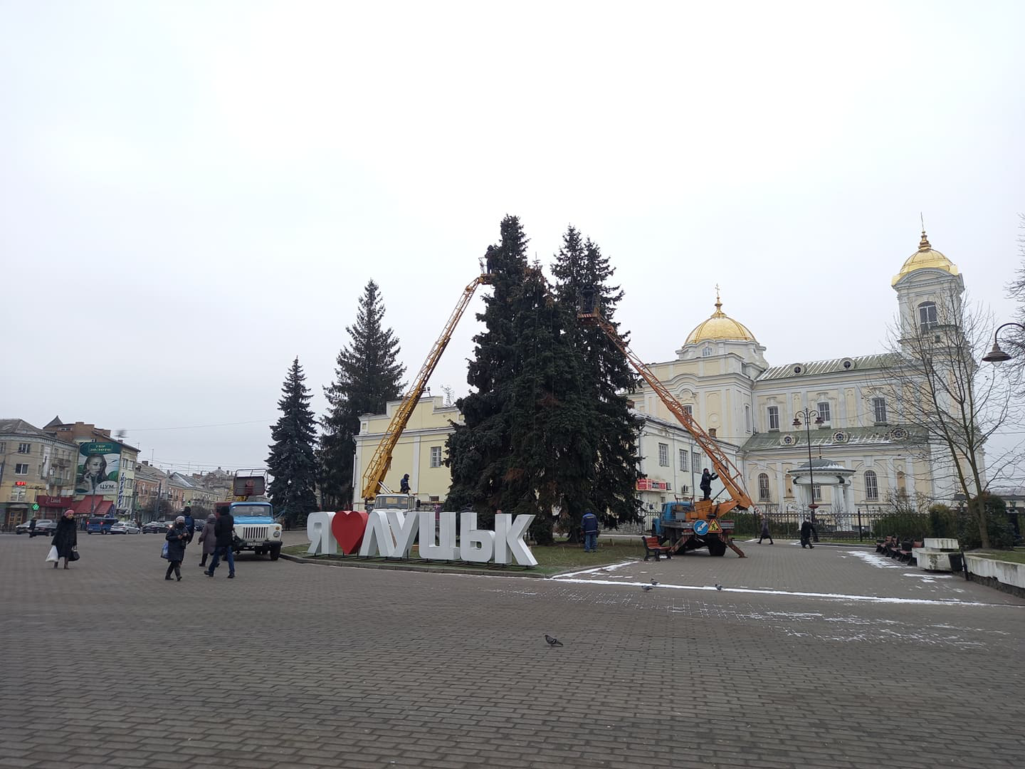 ФОТОФАКТ: У Луцьку почали прикрашати живу головну ялинку