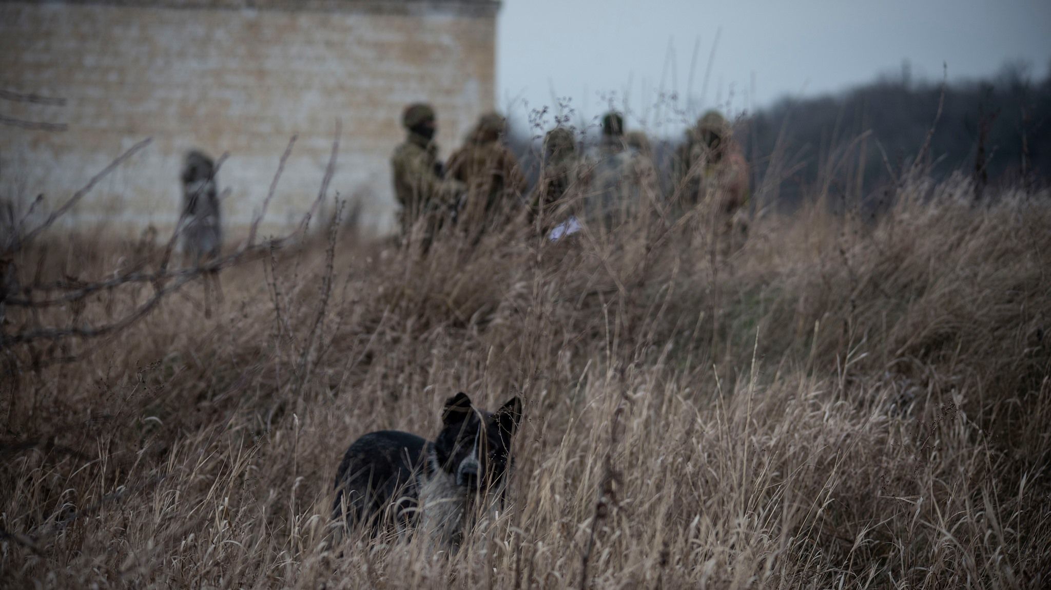 На Донбасі захисники України відповідали на прицільний вогонь ворога