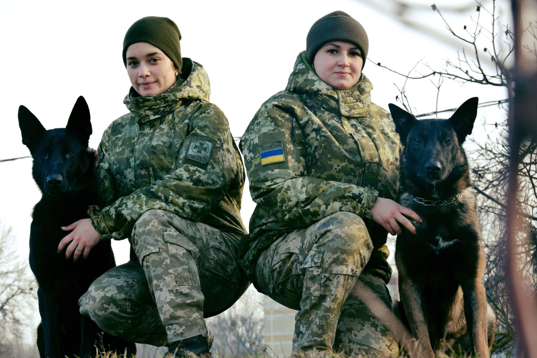 Службові собаки Держприкордонслужби виявили центнер наркотиків у 2020 році, фото