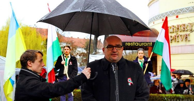 Майно лідера угорців Закарпаття Василя Брензовича арештоване