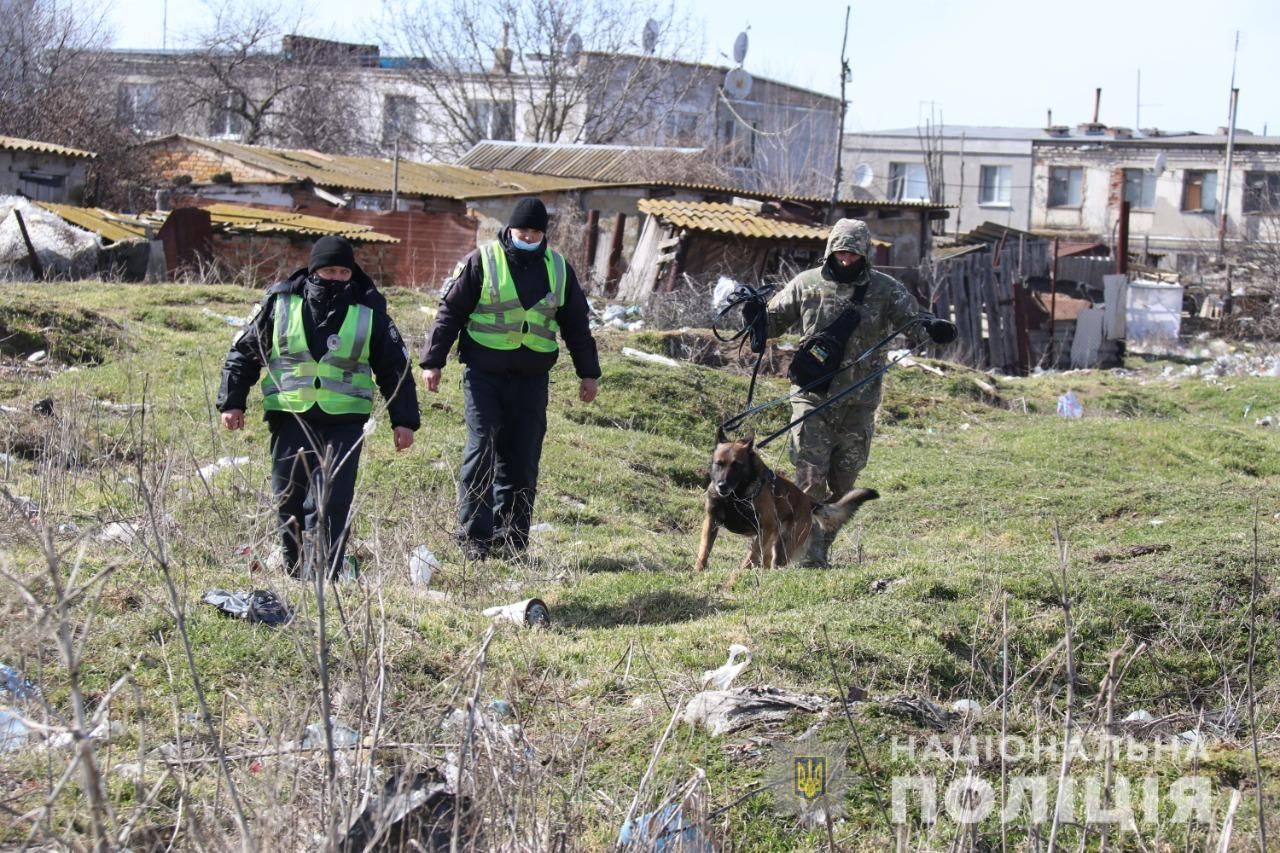 Вбивство семирічної Марії Борисової: поліція Херсонщини повідомила подробиці, фото